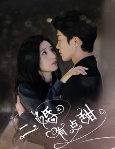 二婚有点甜（88集）贾博雅
