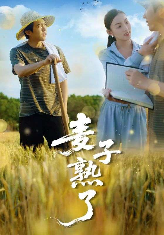 麦子熟了（52集）冯思源＆宋雯娟