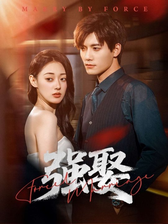 强娶（80集）郑文岩＆汤震