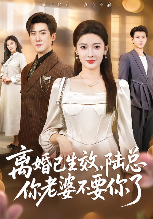 离婚已生效，陆总你老婆不要你了（61集）赵阿东＆沈玥妡