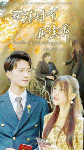 落花时节再逢君（82集）
