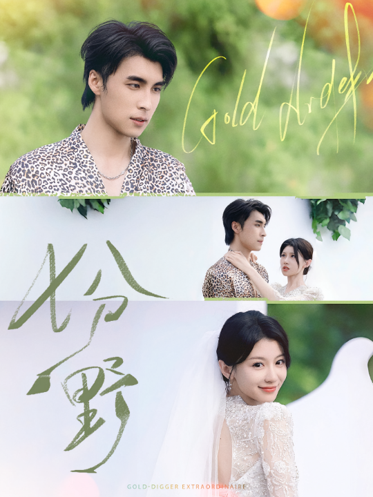 七分野（78集）薛泽源＆何田田