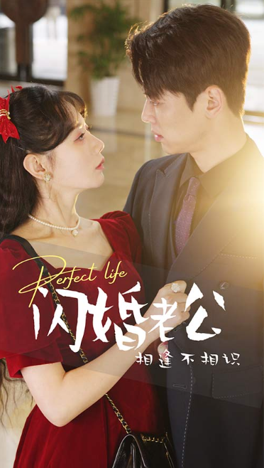 短剧《闪婚老公相逢不相识（90集全）》免费观看