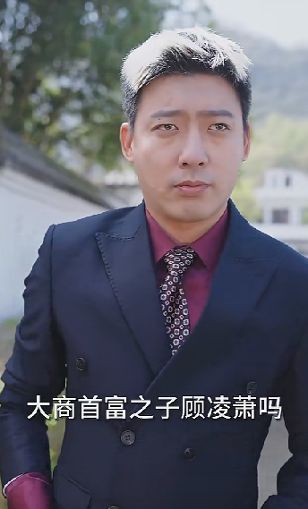 鹿总夫人又要和您摊牌了（100集）