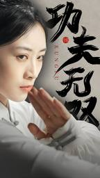 免费短剧：功夫无双（65集）