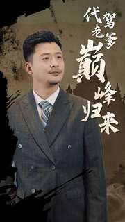 代驾老爹巅峰归来（100集）