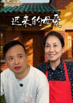 迟来的母爱（42集）宋军