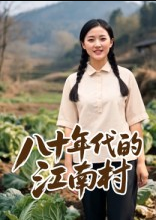 八十年代的江南村（12集）AI短剧